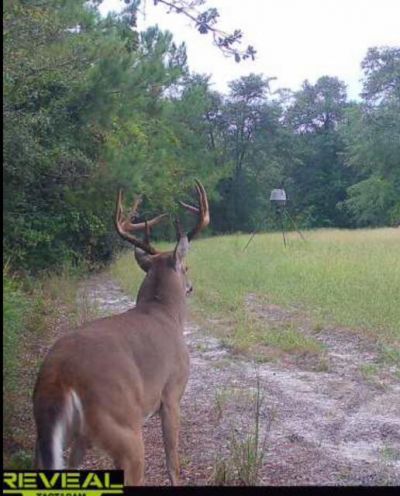 1384 Sandy Landing Lane Photo 46