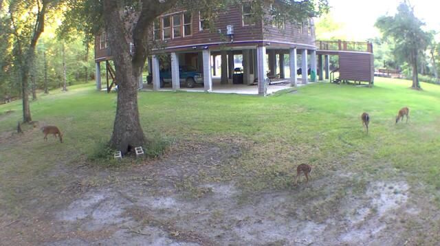 1384 Sandy Landing Lane Photo 48