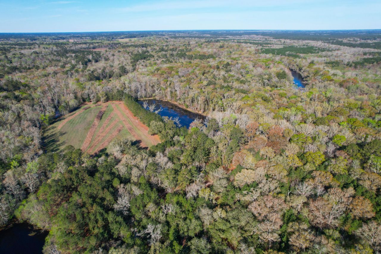 1384 Sandy Landing Lane Photo 5