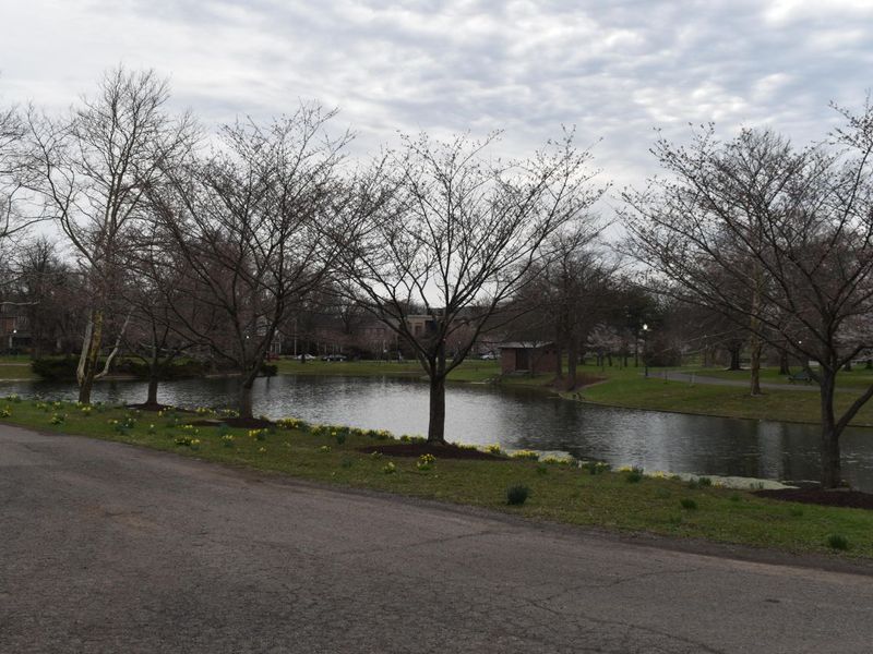 1815 Franklin Park, Unit S, Columbus, OH 43205 Photo 25