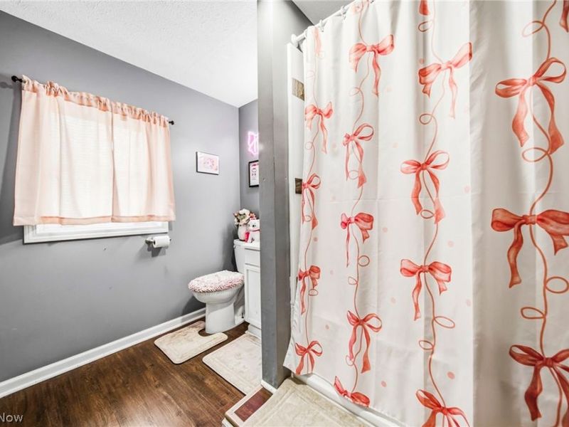 6208 Jefferson Road, Ashtabula, OH 44004 Photo 22