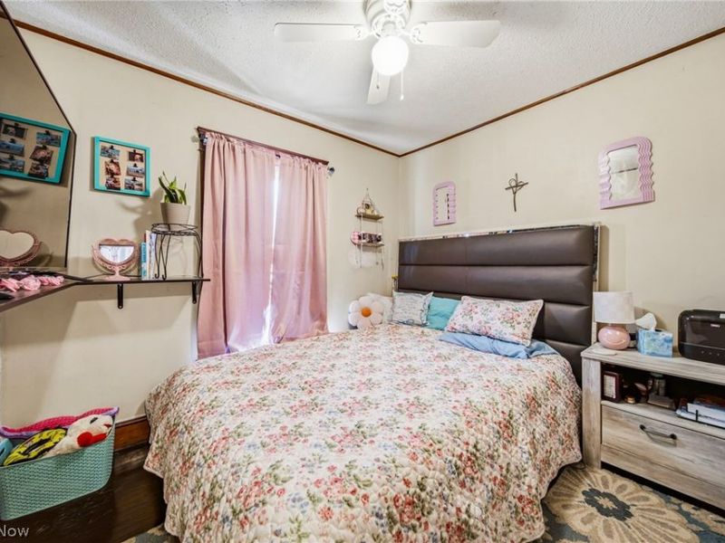 6208 Jefferson Road, Ashtabula, OH 44004 Photo 28