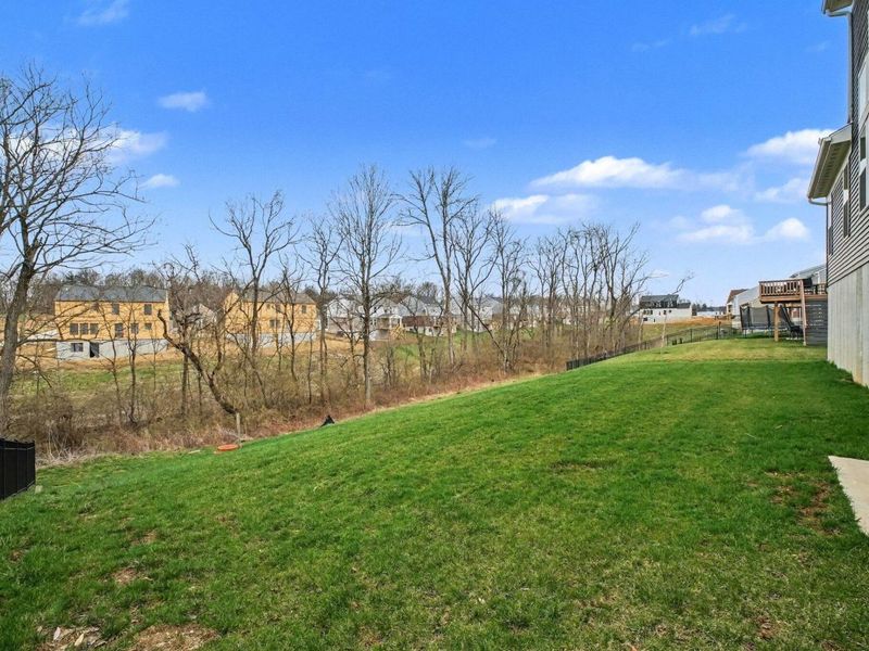 4732 Donegal Avenue, Union, KY 41091 Photo 2