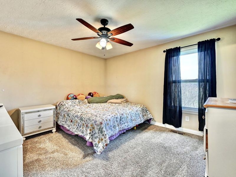 220 Ten Mile Drive, Dry Ridge, KY 41035 Photo 11