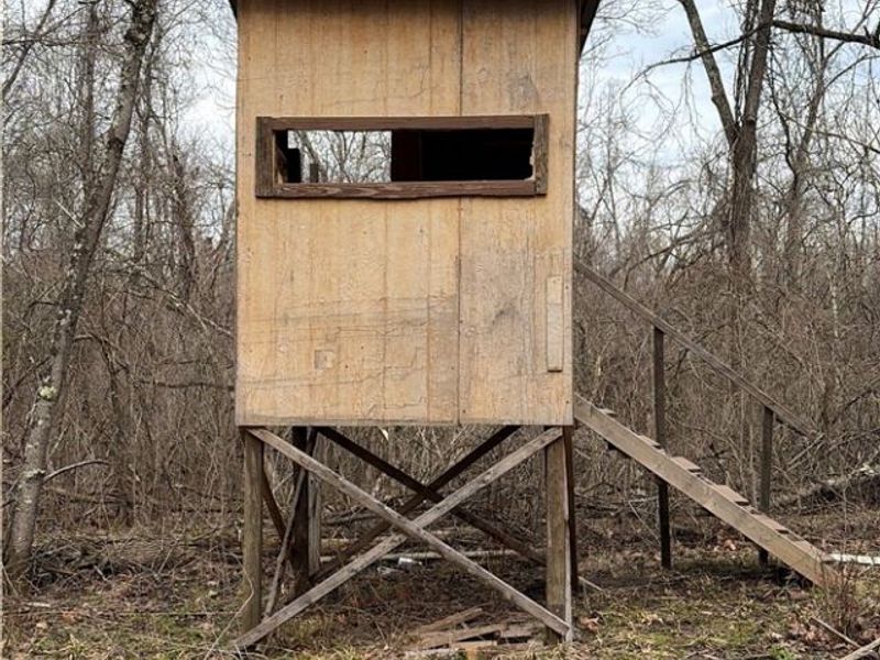 19488 Osborne Road, Salesville, OH 43778 Photo 10