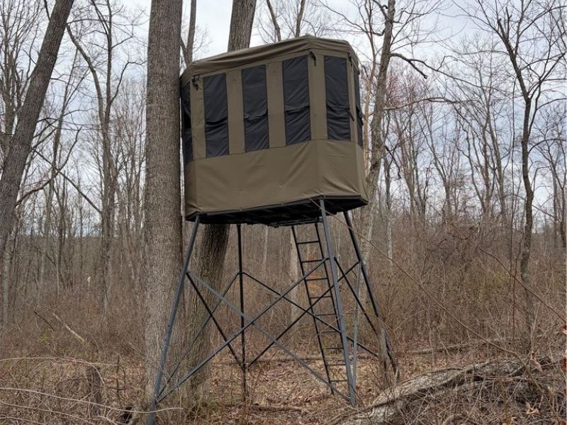 19488 Osborne Road, Salesville, OH 43778 Photo 12