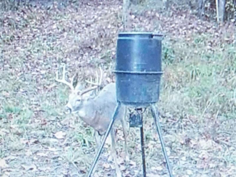 19488 Osborne Road, Salesville, OH 43778 Photo 13