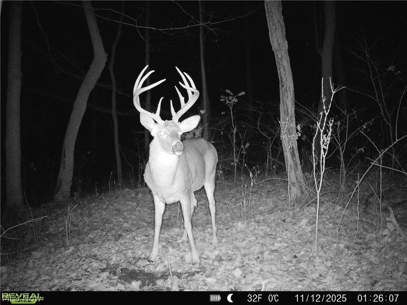 19488 Osborne Road, Salesville, OH 43778 Photo 14