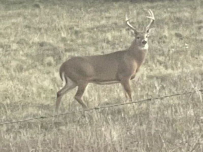 19488 Osborne Road, Salesville, OH 43778 Photo 15