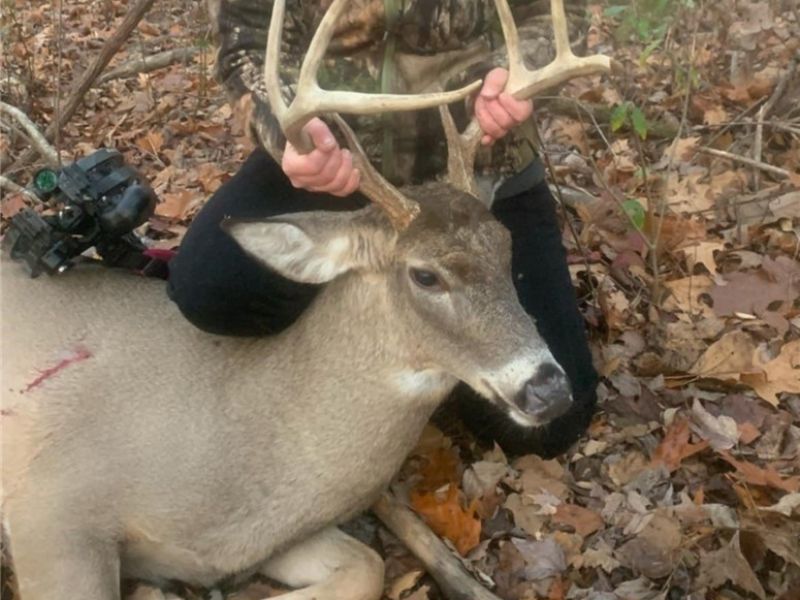 19488 Osborne Road, Salesville, OH 43778 Photo 16