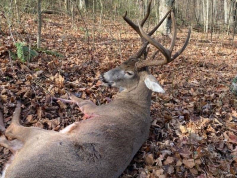 19488 Osborne Road, Salesville, OH 43778 Photo 17