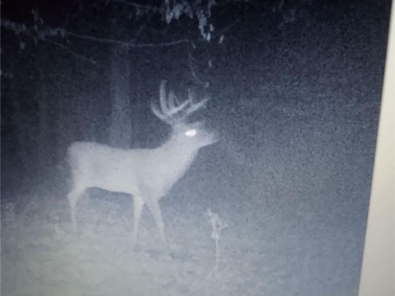 19488 Osborne Road, Salesville, OH 43778 Photo 18