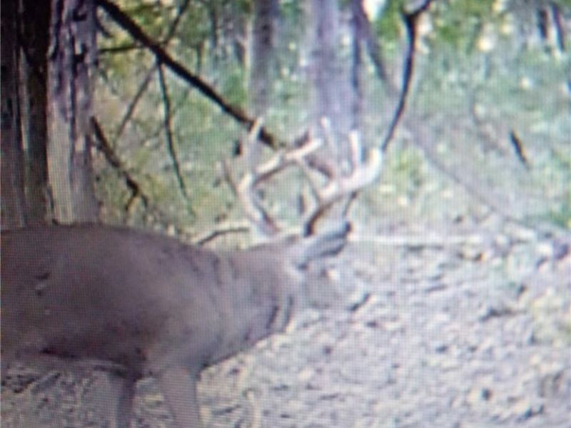 19488 Osborne Road, Salesville, OH 43778 Photo 19