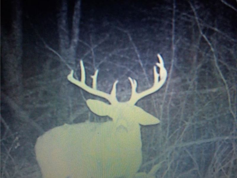 19488 Osborne Road, Salesville, OH 43778 Photo 20