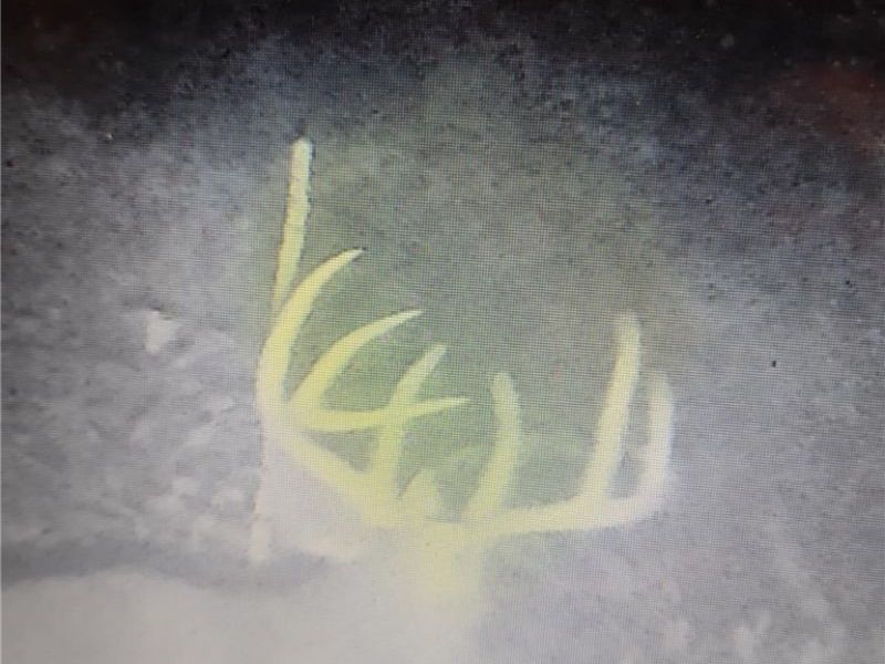 19488 Osborne Road, Salesville, OH 43778 Photo 21