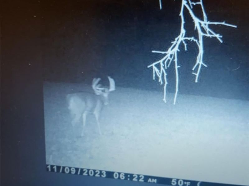 19488 Osborne Road, Salesville, OH 43778 Photo 22