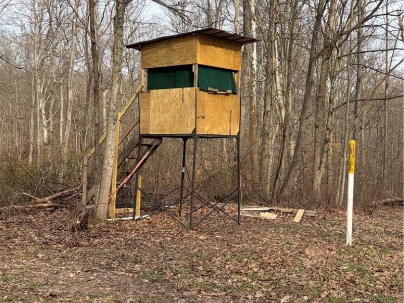 19488 Osborne Road, Salesville, OH 43778 Photo 8