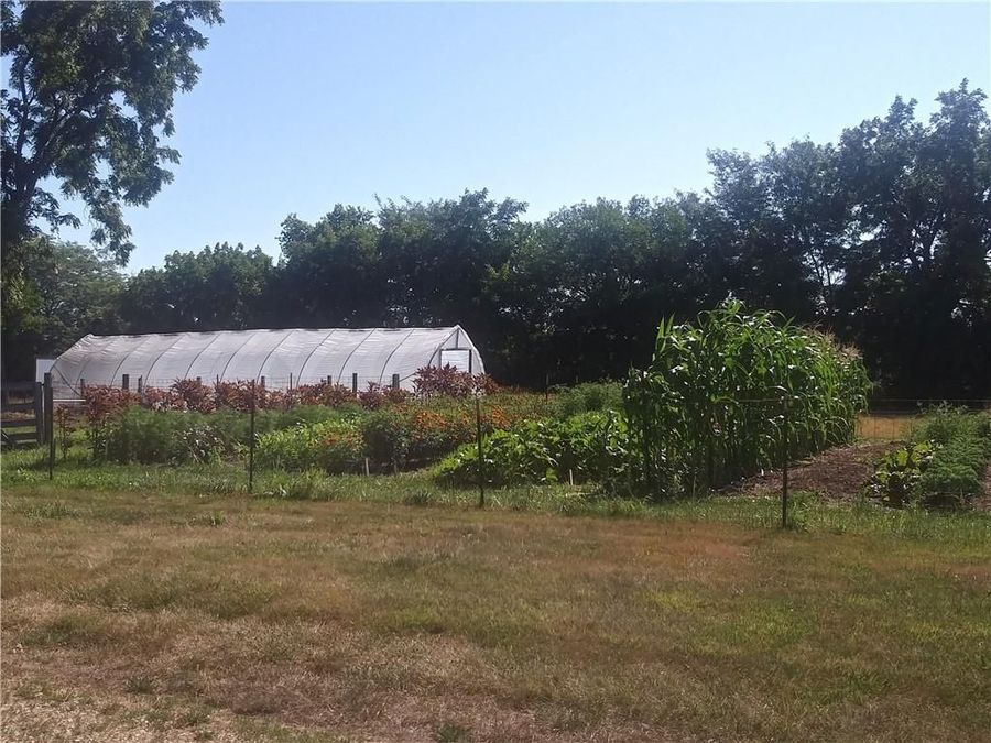 Property Image 15