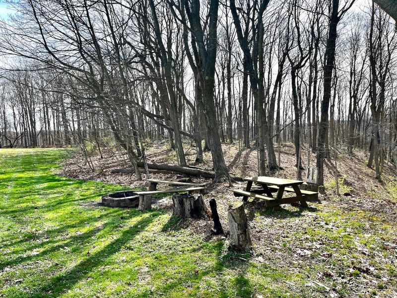 10486 State Route 28 , Frankfort, OH 45628 Photo 22