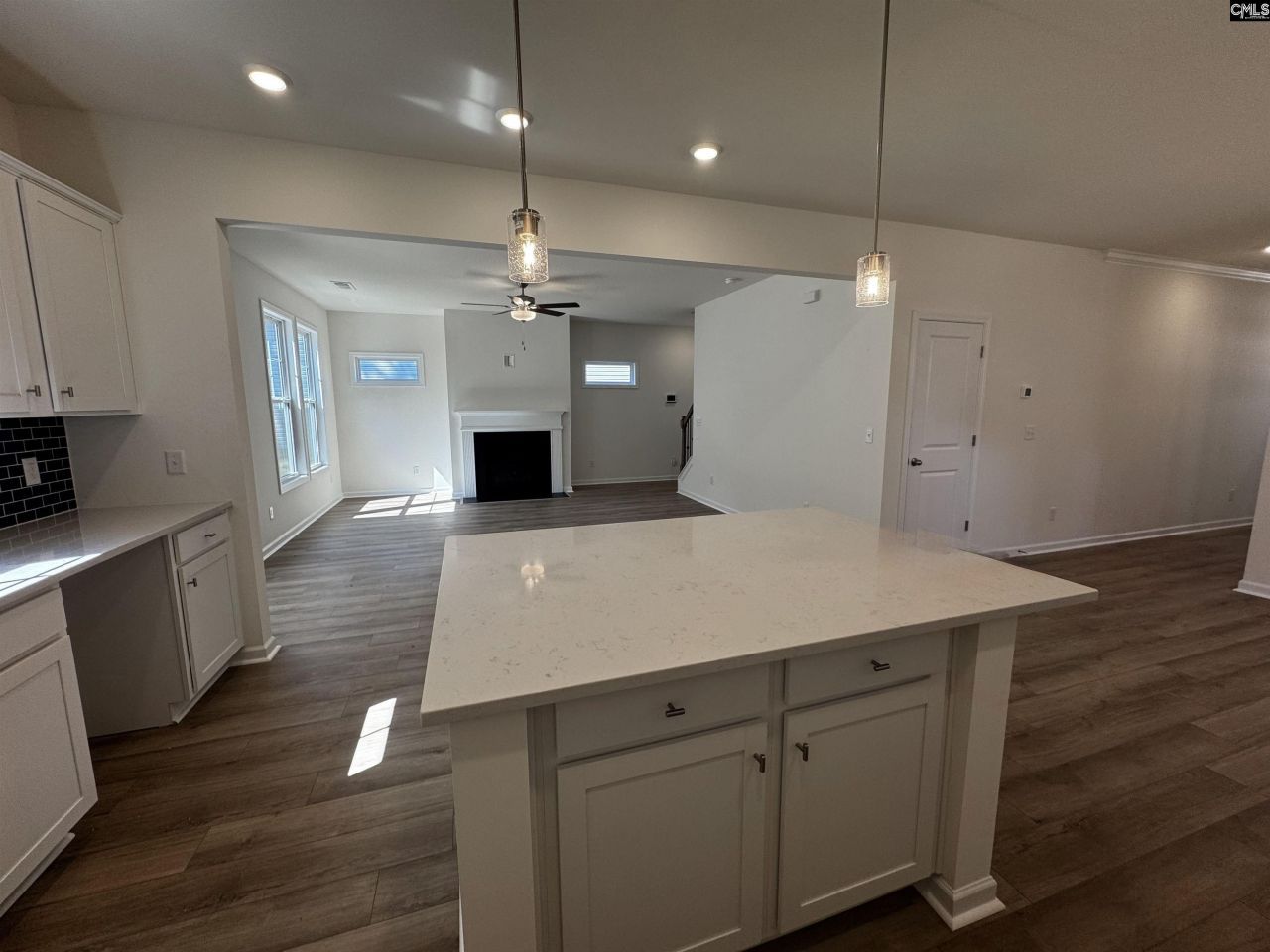 598 Griffon Drive  Photo 10