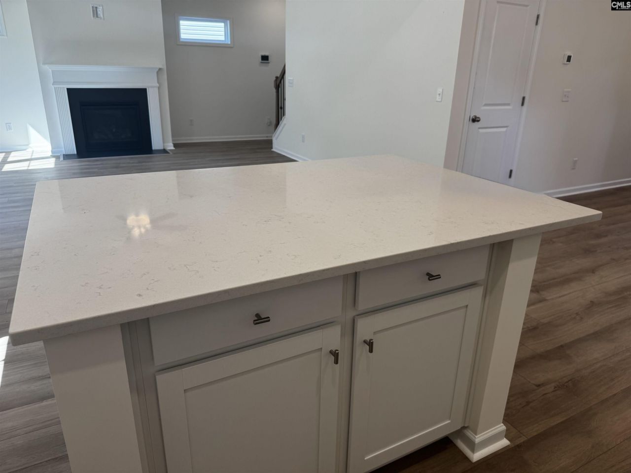 598 Griffon Drive  Photo 7