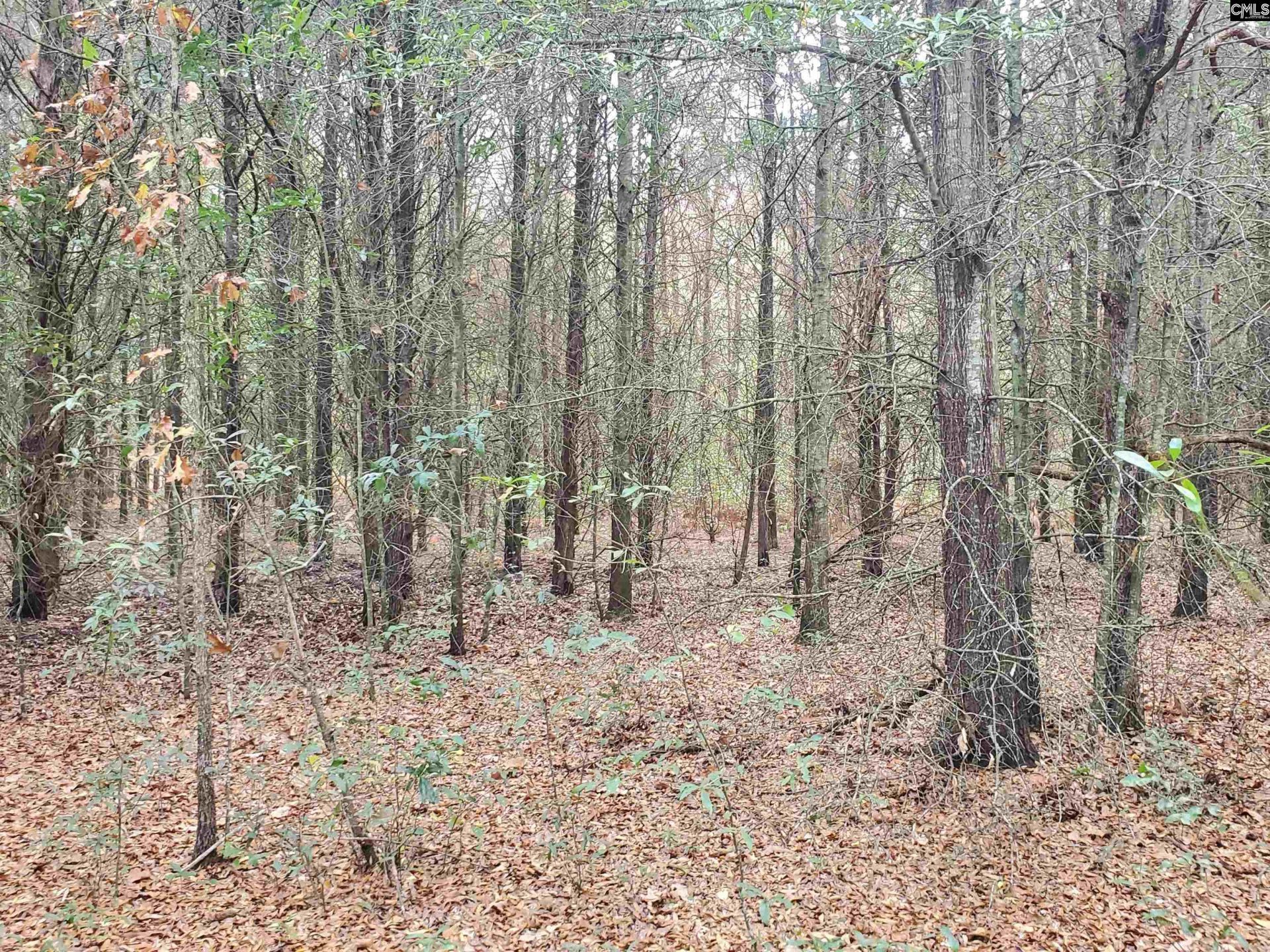 1152 Water Tank Road Photo 47