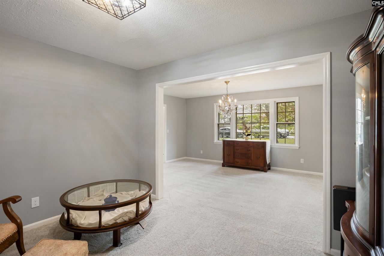 1704 Chimney Swift Lane  Photo 10