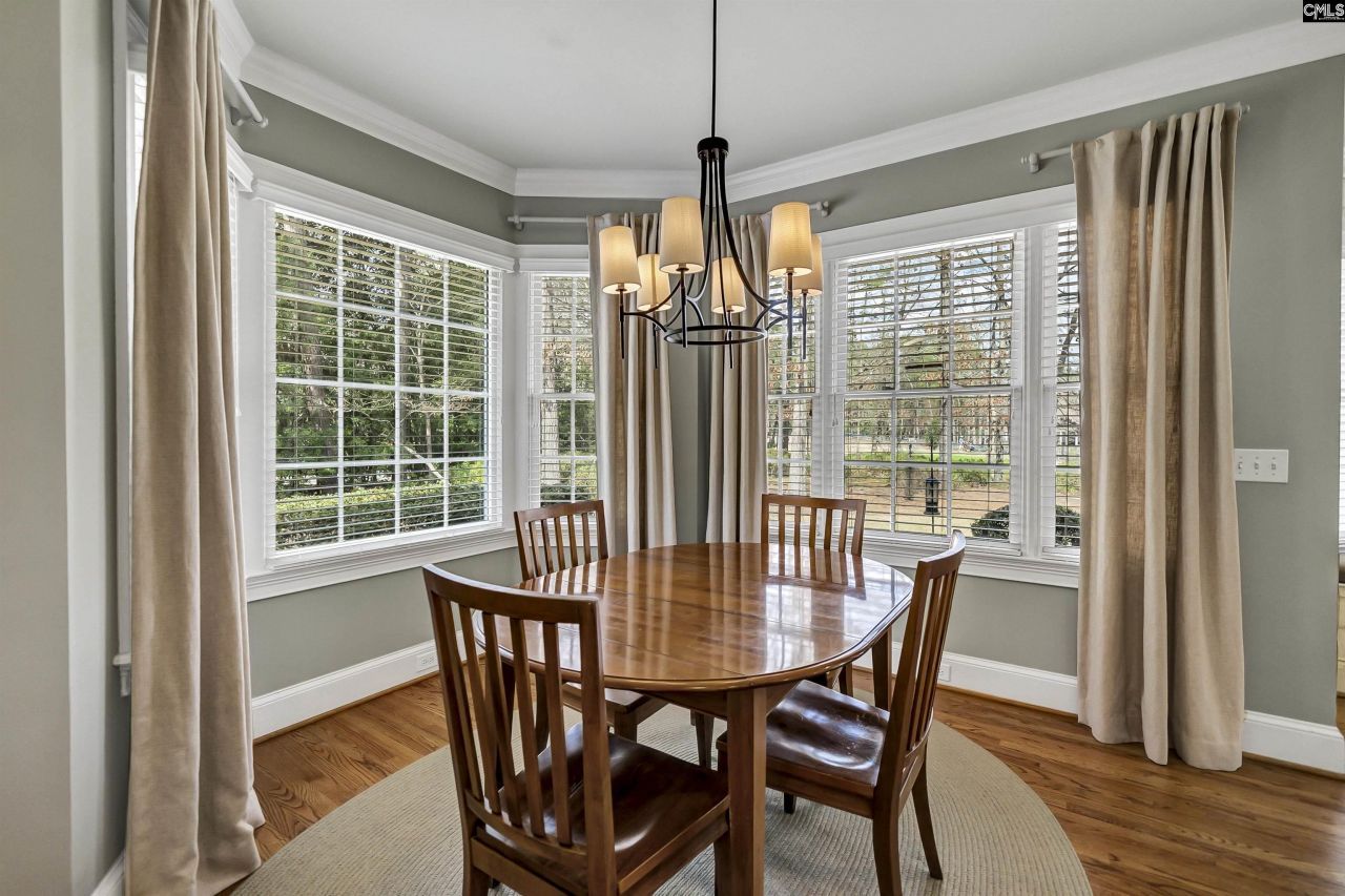 206 Beaver Lake Drive  Photo 12