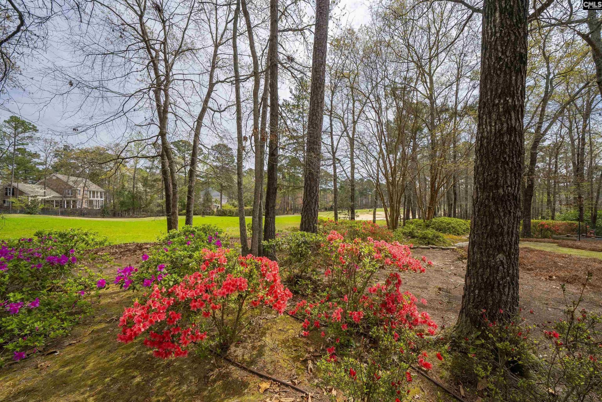 206 Beaver Lake Drive Photo 5