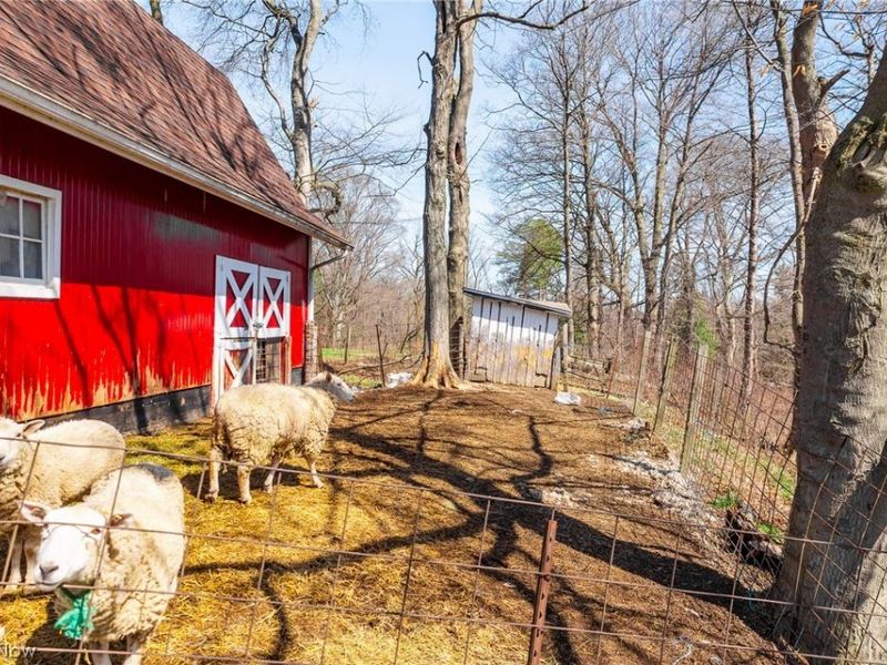 327 Briarhill Street, Rittman, OH 44270 Photo 42