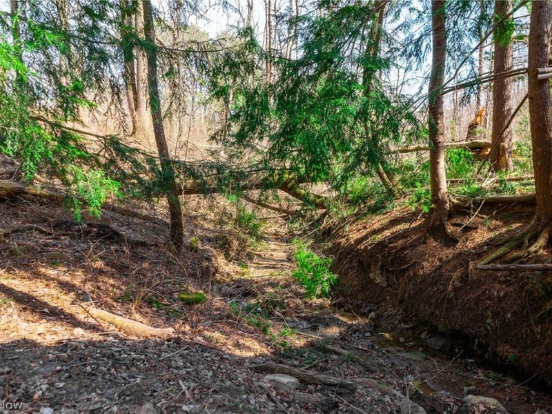 327 Briarhill Street, Rittman, OH 44270 Photo 45