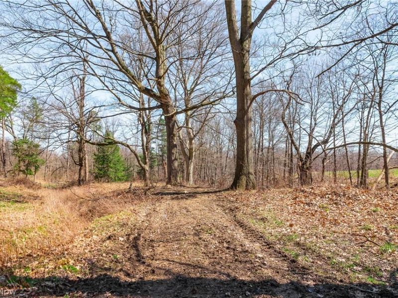 327 Briarhill Street, Rittman, OH 44270 Photo 46