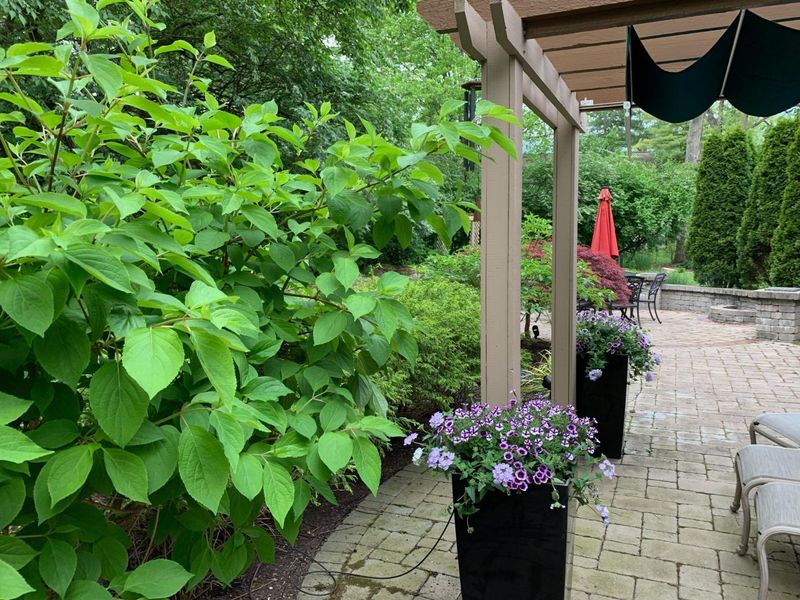 941 Robbins Way, Worthington, OH 43085 Photo 63