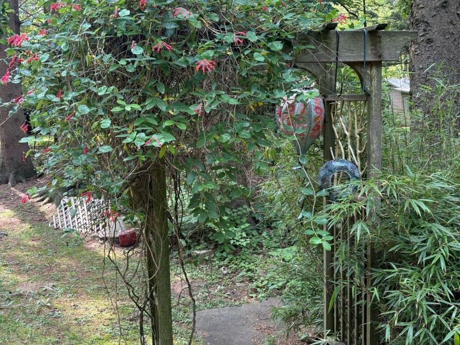 Property Image 42