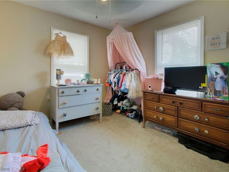 319 W Oxford Street, Alliance, OH 44601 Photo 14