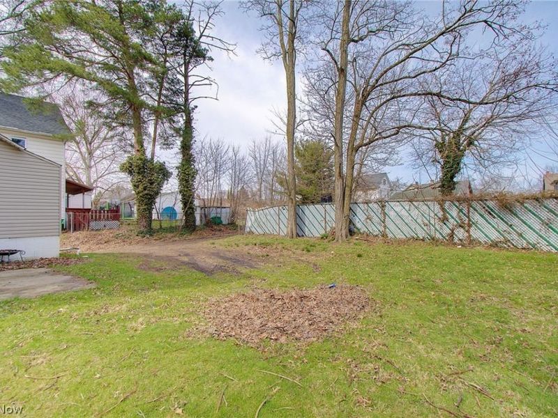 319 W Oxford Street, Alliance, OH 44601 Photo 18