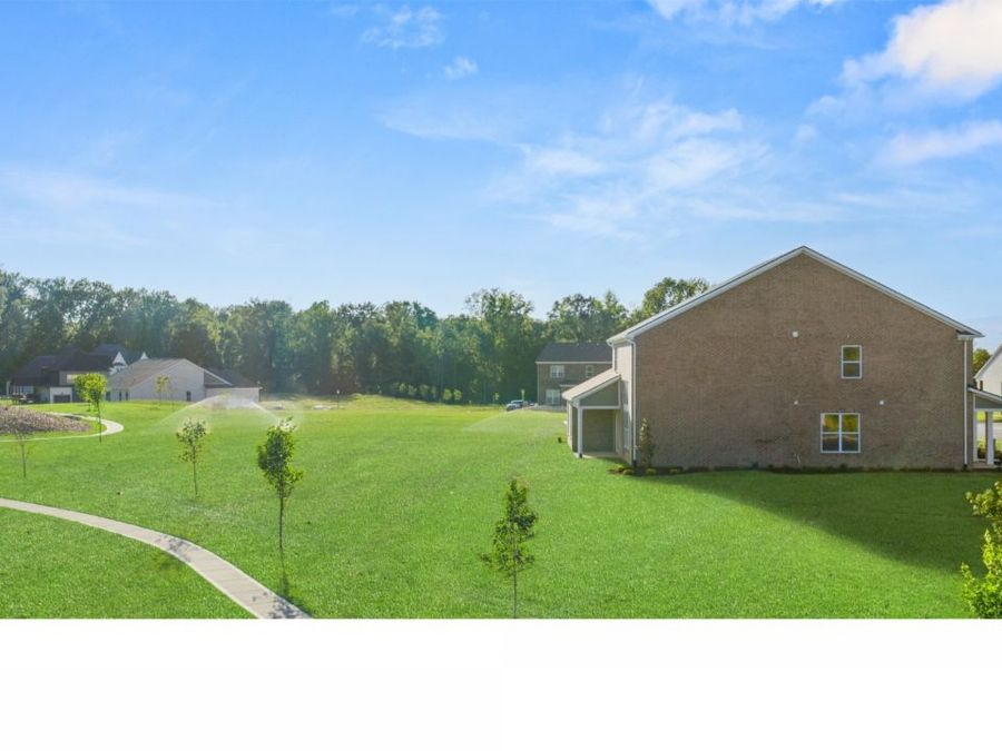 Property Image 69