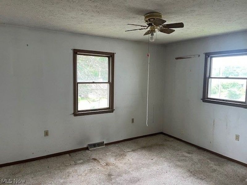 219 W College Street, Scio, OH 43988 Photo 10
