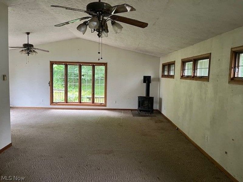 219 W College Street, Scio, OH 43988 Photo 12