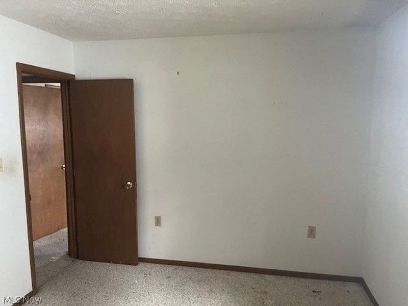 219 W College Street, Scio, OH 43988 Photo 15