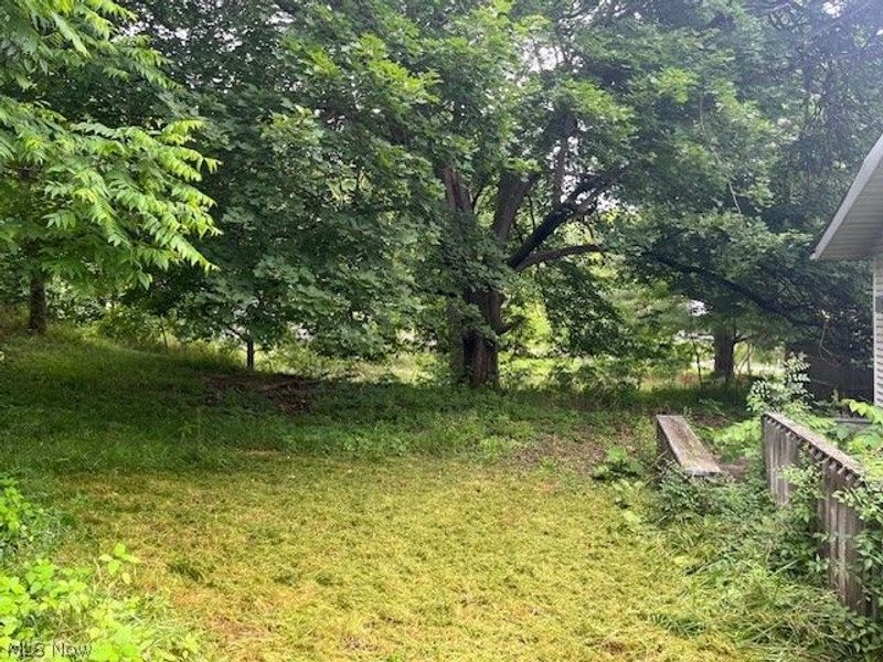 219 W College Street, Scio, OH 43988 Photo 16