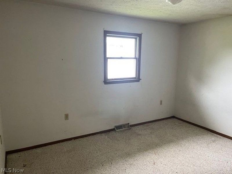 219 W College Street, Scio, OH 43988 Photo 8