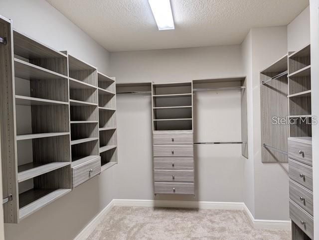 10915 Charmwood Drive , Riverview, FL 33569 Photo