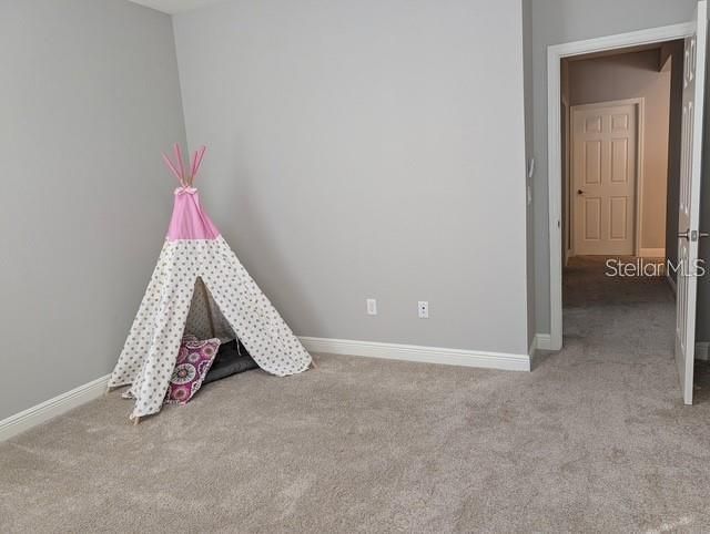 10915 Charmwood Drive , Riverview, FL 33569 Photo