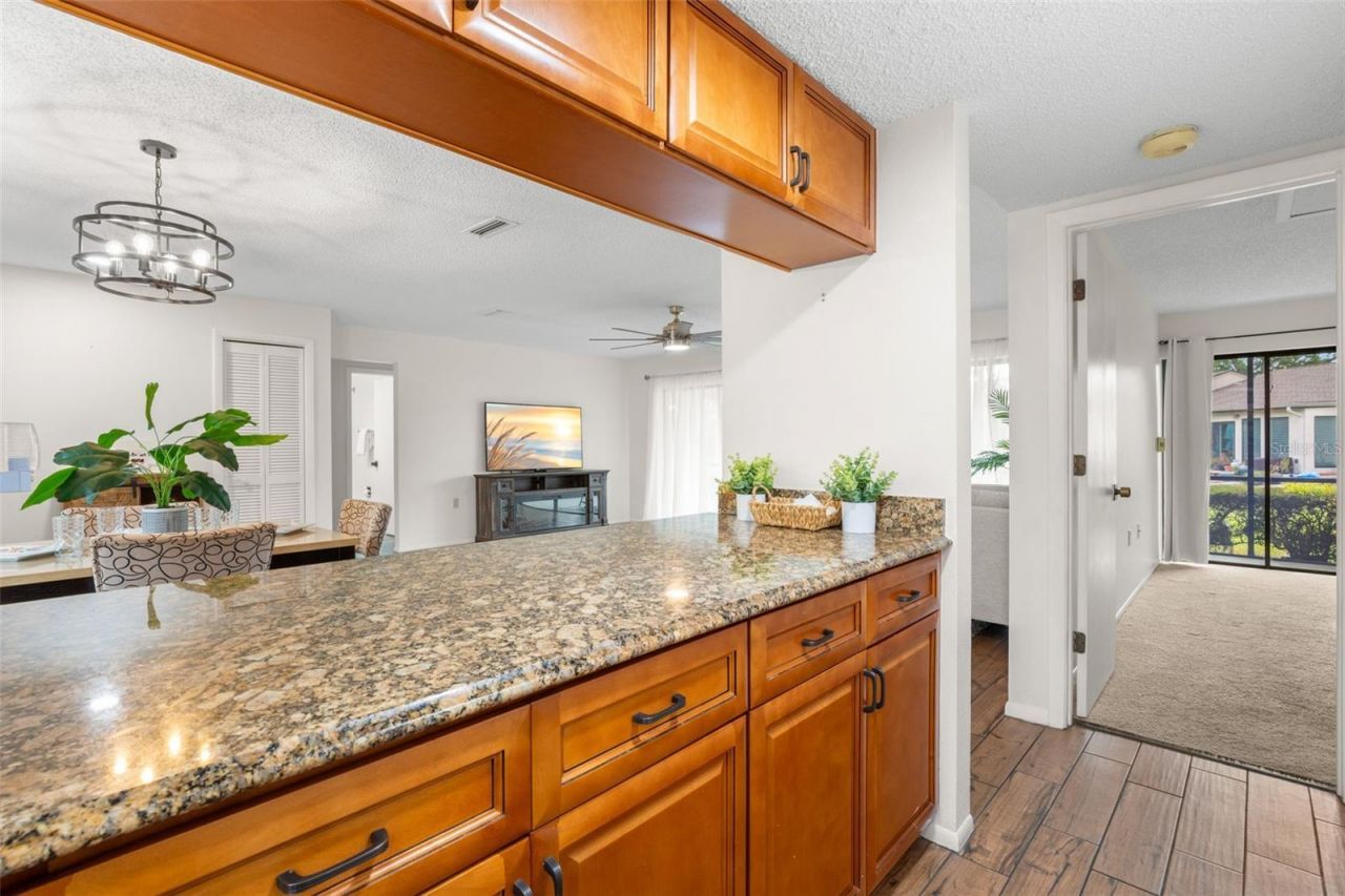 40 Sylvia Place, Oldsmar, FL 34677 Photo