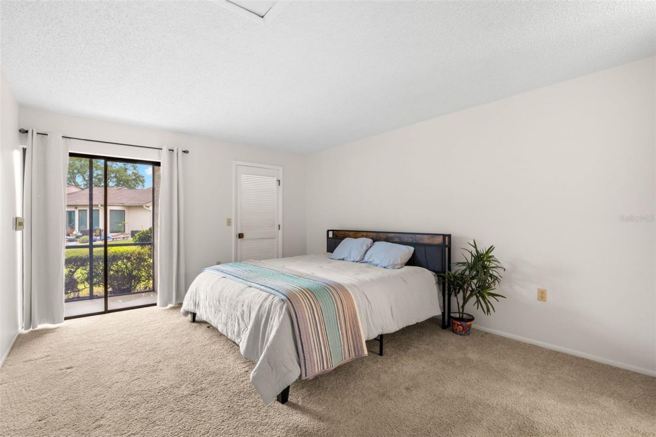 40 Sylvia Place, Oldsmar, FL 34677 Photo