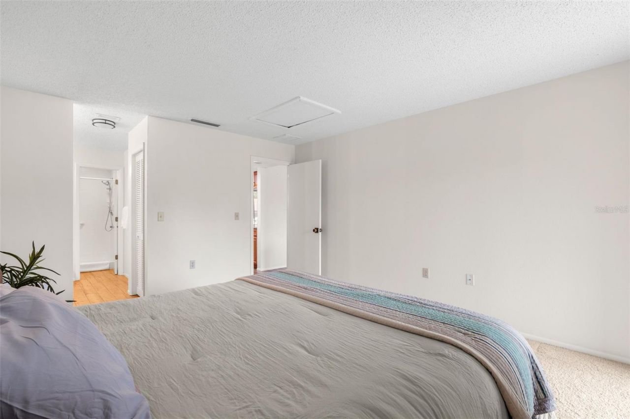 40 Sylvia Place, Oldsmar, FL 34677 Photo