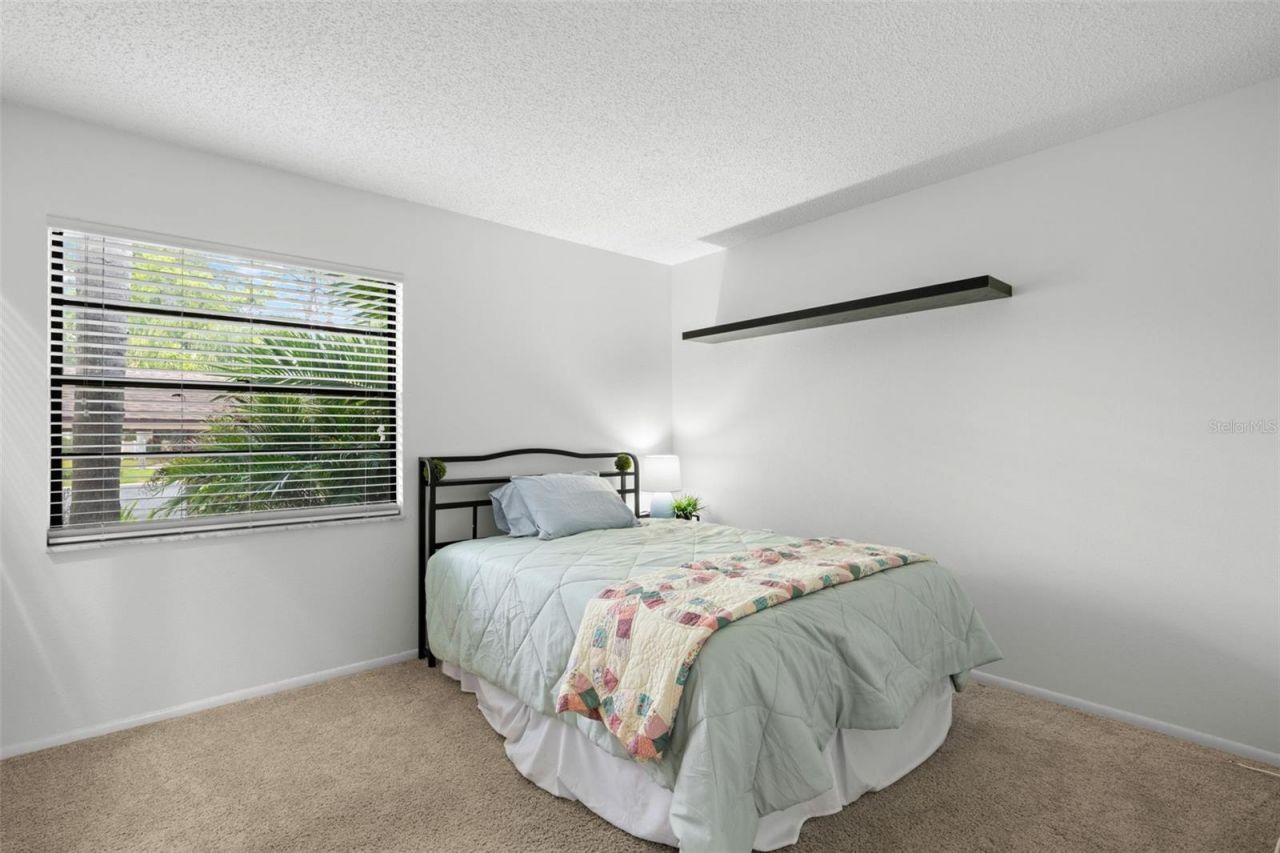 40 Sylvia Place, Oldsmar, FL 34677 Photo