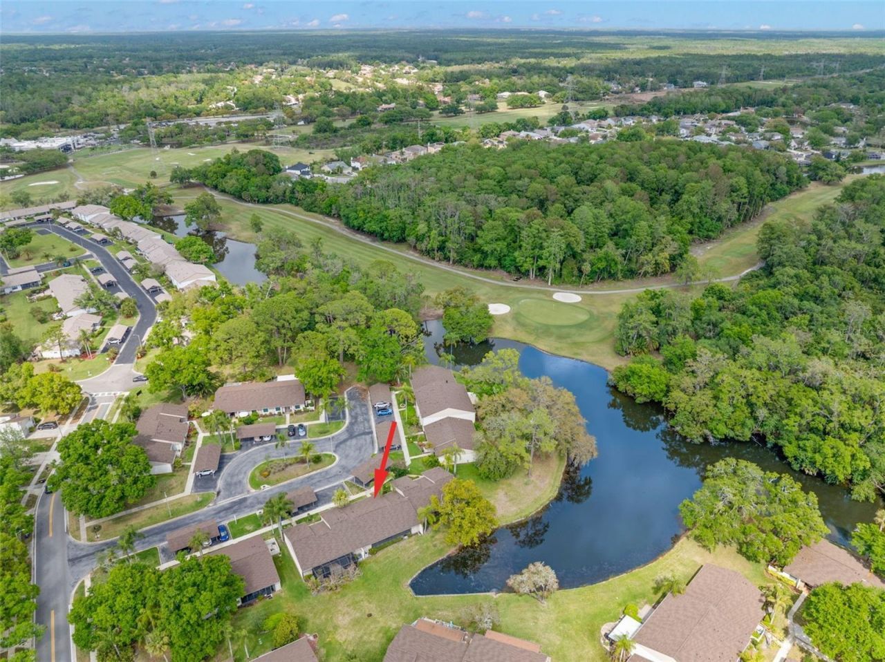 40 Sylvia Place, Oldsmar, FL 34677 Photo