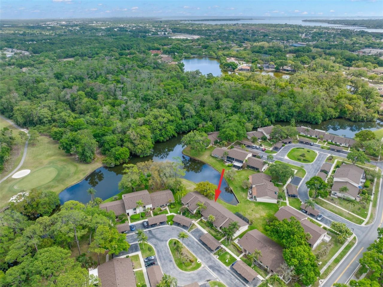 40 Sylvia Place, Oldsmar, FL 34677 Photo